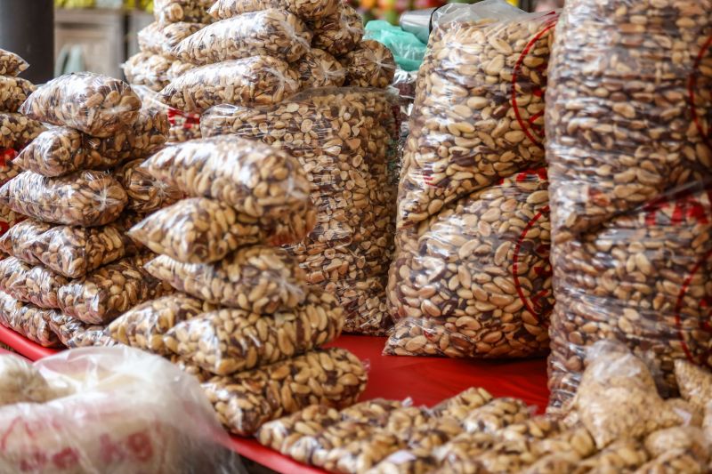 Imagens Ver-o-Peso - Rodrigo Pinheiro AgPará <div class='credito_fotos'>Foto: Rodrigo Pinheiro / Ag. Pará &nbsp;&nbsp;|&nbsp;&nbsp; <a href='/midias/2022/originais/11519_9b3548ea-605c-9990-2ed3-45087cd5d19a.jpg' download><i class='fa-solid fa-download'></i> Download</a></div>