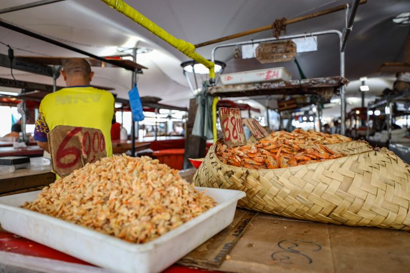 Imagens Ver-o-Peso - Rodrigo Pinheiro AgPará <div class='credito_fotos'>Foto: Rodrigo Pinheiro / Ag. Pará &nbsp;&nbsp;|&nbsp;&nbsp; <a href='/midias/2022/originais/11519_b7cb7aba-7d97-9049-6782-4bc69258404c.jpg' download><i class='fa-solid fa-download'></i> Download</a></div>