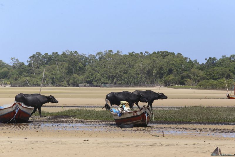 <div class='credito_fotos'>Foto: Alex Ribeiro / Ag. Pará | <a href='/midias/2022/originais/11545_1a88927a-a5fd-3068-4b93-eaeee716d9e7.jpg' download><i class='fa-solid fa-download'></i> Download</a></div>