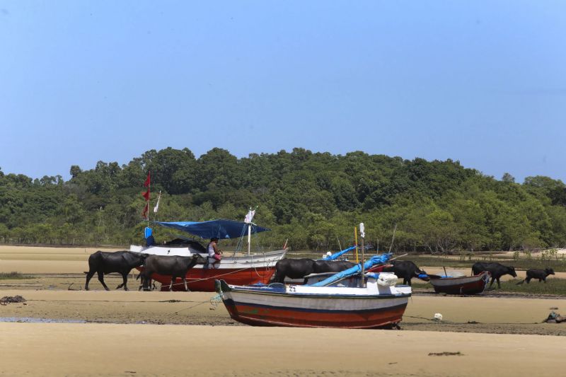 <div class='credito_fotos'>Foto: Alex Ribeiro / Ag. Pará | <a href='/midias/2022/originais/11545_5796b191-a7e1-2a78-cfed-88a196e07977.jpg' download><i class='fa-solid fa-download'></i> Download</a></div>