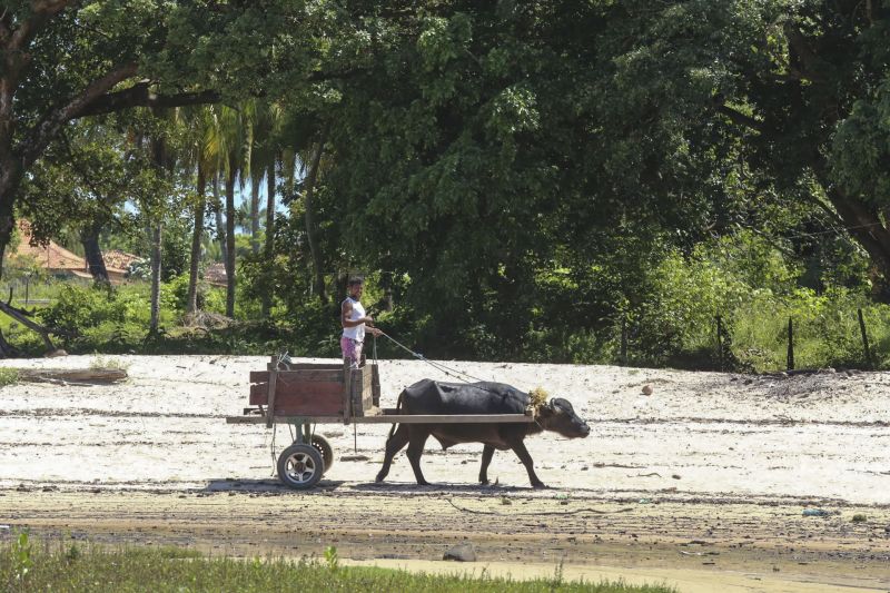 <div class='credito_fotos'>Foto: Alex Ribeiro / Ag. Pará | <a href='/midias/2022/originais/11545_9b50d98e-74c0-b6ce-4ead-ebe4d771566a.jpg' download><i class='fa-solid fa-download'></i> Download</a></div>