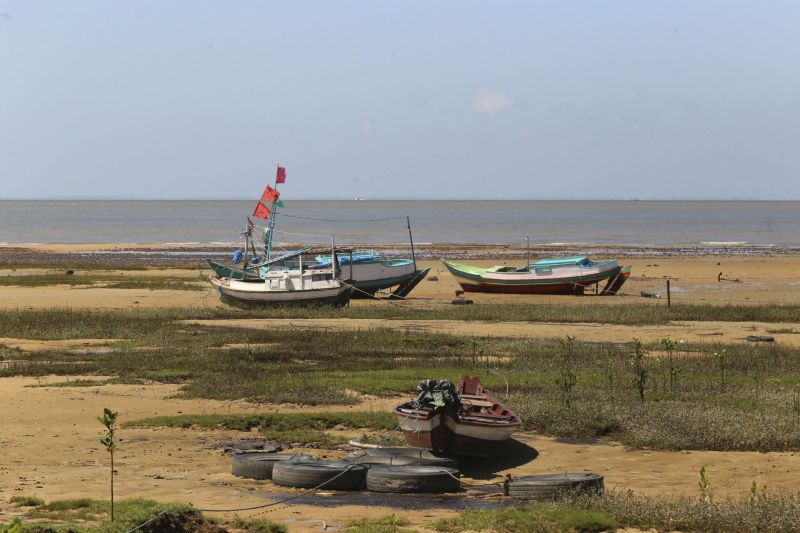 <div class='credito_fotos'>Foto: Alex Ribeiro / Ag. Pará | <a href='/midias/2022/originais/11545_e2310350-d9bf-eb10-2c3c-244e26bb5df1.jpg' download><i class='fa-solid fa-download'></i> Download</a></div>