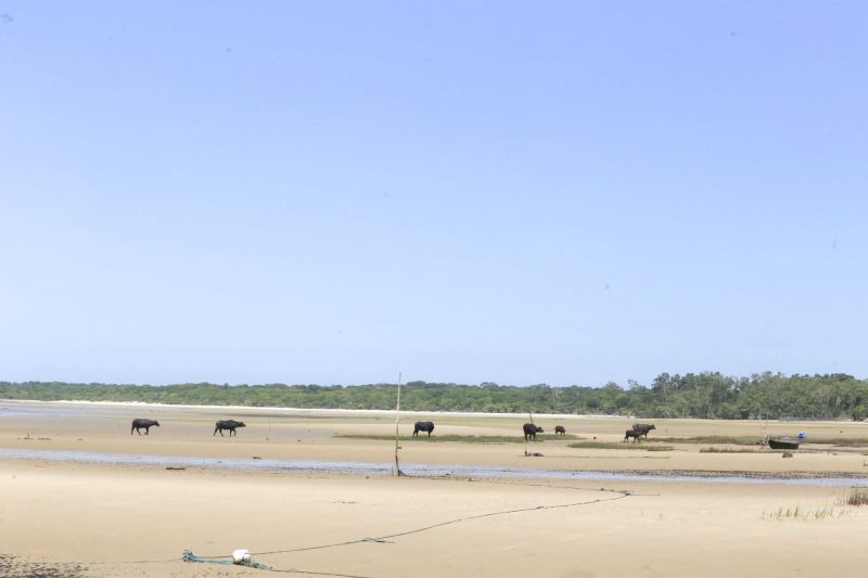 <div class='credito_fotos'>Foto: Alex Ribeiro / Ag. Pará | <a href='/midias/2022/originais/11545_fe621af3-25ac-3a02-7089-6d4064ab6e3d.jpg' download><i class='fa-solid fa-download'></i> Download</a></div>