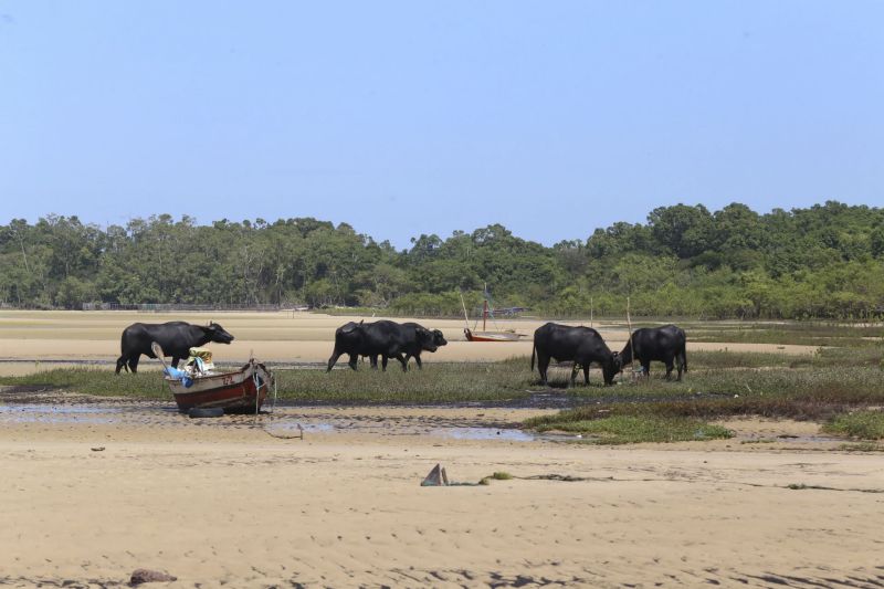 <div class='credito_fotos'>Foto: Alex Ribeiro / Ag. Pará | <a href='/midias/2022/originais/11545_ff53e057-3ed0-1f86-43d6-ac0d89e0a2ce.jpg' download><i class='fa-solid fa-download'></i> Download</a></div>