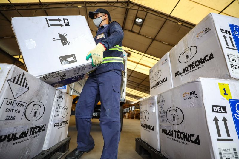  <div class='credito_fotos'>Foto: Rodrigo Pinheiro / Ag.Pará   |   <a href='/midias/2022/originais/11594_ff8572ac-541f-77df-0317-d0684d71e938.jpg' download><i class='fa-solid fa-download'></i> Download</a></div>