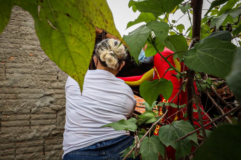  <div class='credito_fotos'>Foto: Alex Ribeiro / Ag. Pará   |   <a href='/midias/2022/originais/11598_b7854edb-2669-286f-d678-e4d35f3c641e.jpg' download><i class='fa-solid fa-download'></i> Download</a></div>