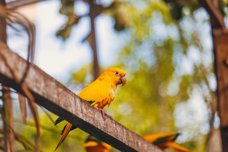  <div class='credito_fotos'>Foto: Thalmus Gama / Ag. Pará   |   <a href='/midias/2022/originais/11643_c5ad8c97-80b3-9d48-b483-16e6b63cf4bc.jpg' download><i class='fa-solid fa-download'></i> Download</a></div>