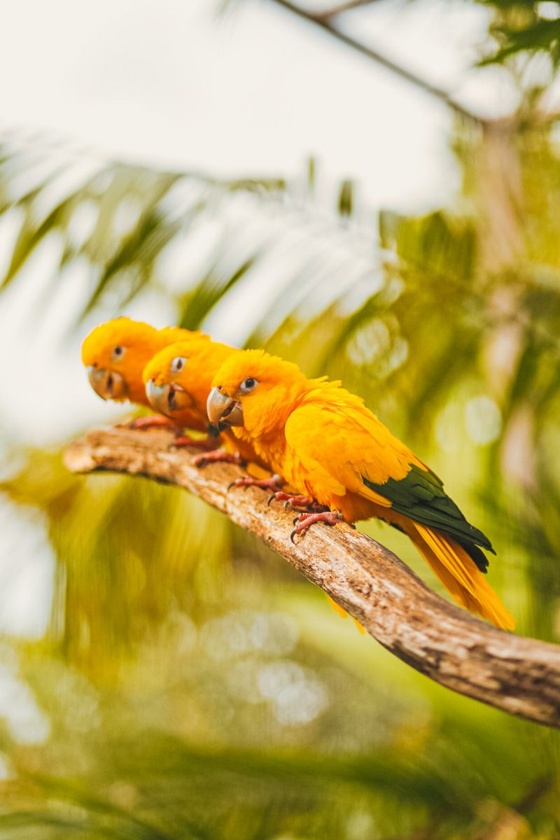 <div class='credito_fotos'>Foto: Thalmus Gama / Ag. Pará | <a href='/midias/2022/originais/11645_048a471c-b519-a07d-4c6d-c0b65180192e.jpg' download><i class='fa-solid fa-download'></i> Download</a></div>