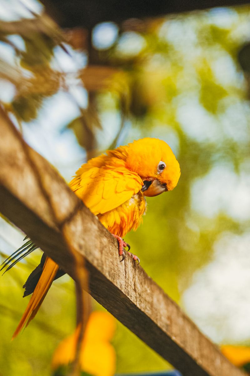<div class='credito_fotos'>Foto: Thalmus Gama / Ag. Pará | <a href='/midias/2022/originais/11645_b84449a5-3611-6137-c077-1f662f2583b3.jpg' download><i class='fa-solid fa-download'></i> Download</a></div>