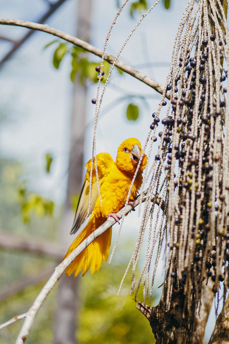 <div class='credito_fotos'>Foto: Thalmus Gama / Ag. Pará | <a href='/midias/2022/originais/11645_dbc74fd6-911c-9e5f-ac1c-39a7e869d793.jpg' download><i class='fa-solid fa-download'></i> Download</a></div>