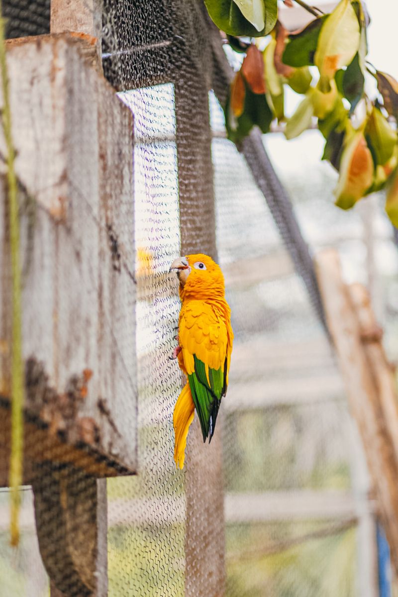 <div class='credito_fotos'>Foto: Thalmus Gama / Ag. Pará | <a href='/midias/2022/originais/11645_ea111947-5a59-a5c4-064b-864b44fc445f.jpg' download><i class='fa-solid fa-download'></i> Download</a></div>