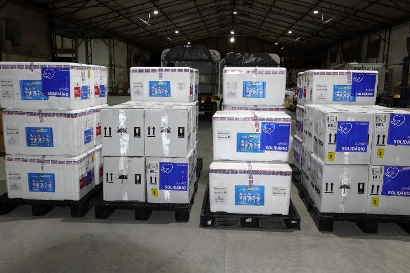  <div class='credito_fotos'>Foto: Augusto Miranda / Ag. Pará   |   <a href='/midias/2022/originais/11647_f8b1ca61-674c-1d48-9eda-2cc345aa70c5.jpg' download><i class='fa-solid fa-download'></i> Download</a></div>