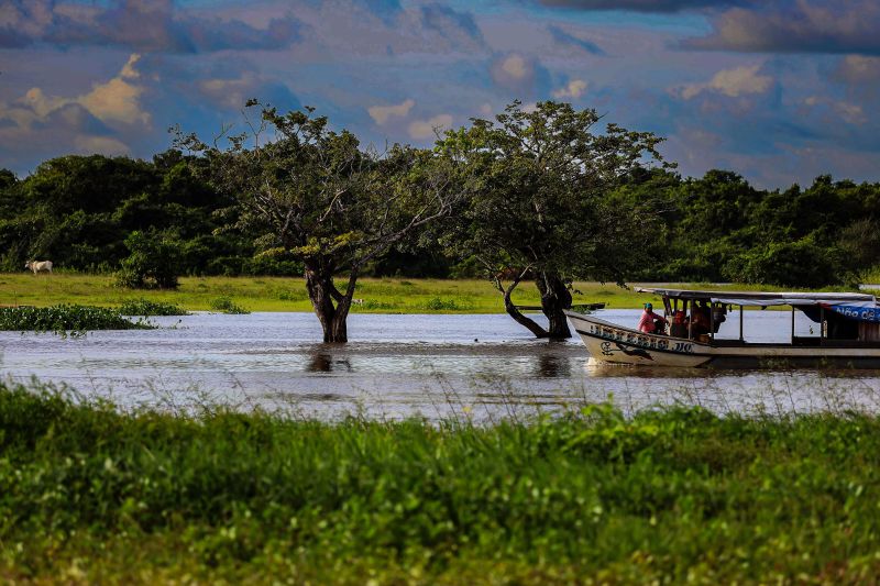 <div class='credito_fotos'>Foto: Bruno Cecim / Ag.Pará | <a href='/midias/2022/originais/12697_2dbc10af-a021-7d20-86d5-63364bf8c46f.jpg' download><i class='fa-solid fa-download'></i> Download</a></div>