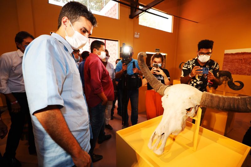 <div class='credito_fotos'>Foto: Bruno Cecim / Ag.Pará | <a href='/midias/2022/originais/12697_7d810396-db78-c98a-793d-4ee94c64eb68.jpg' download><i class='fa-solid fa-download'></i> Download</a></div>