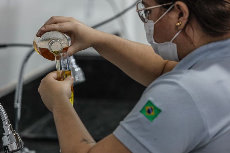 <div class='credito_fotos'>Foto: Marcelo Seabra / Ag. Pará | <a href='/midias/2022/originais/12779_2e453425-7dbc-59fd-8209-8a6c1190b382.jpg' download><i class='fa-solid fa-download'></i> Download</a></div>