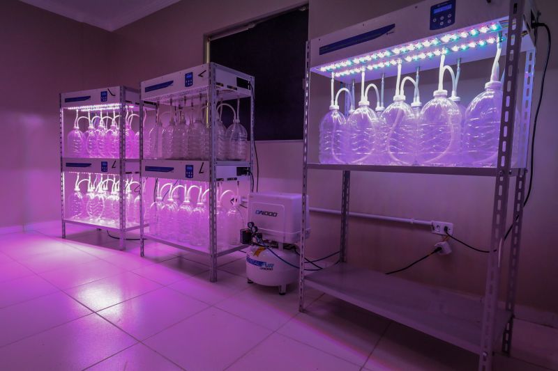 Investimentos em tecnologia para fomentar a agricultura familiar na região