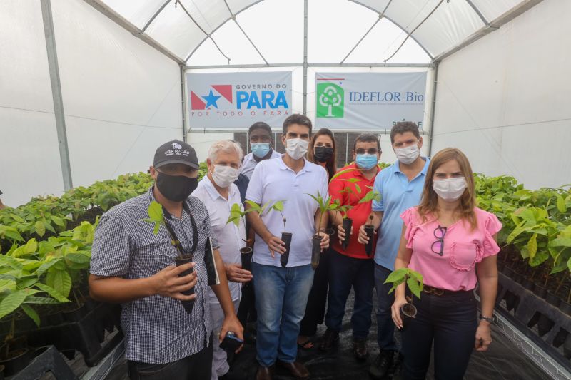 Helder Barbalho e demais autoridades em um dos espaços de produção de mudas