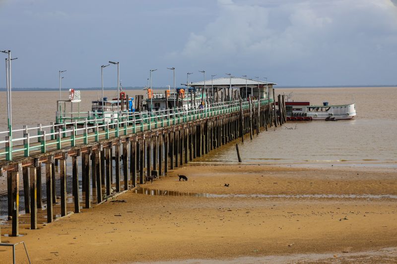 <div class='credito_fotos'>Foto: Bruno Cecim / Ag.Pará | <a href='/midias/2022/originais/12831_28d68af6-a4fa-800b-f3bd-313e3b9f9794.jpg' download><i class='fa-solid fa-download'></i> Download</a></div>