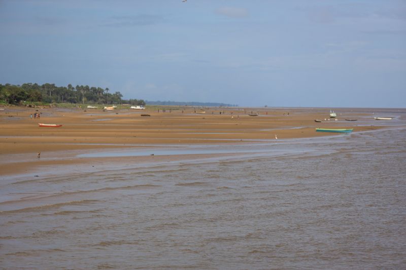 <div class='credito_fotos'>Foto: Bruno Cecim / Ag.Pará | <a href='/midias/2022/originais/12831_d41025a0-fd66-c71d-4dc0-896e9352c44a.jpg' download><i class='fa-solid fa-download'></i> Download</a></div>