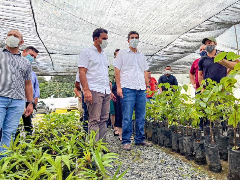  <div class='credito_fotos'>Foto: Kadu Alvorada / Ag. Pará   |   <a href='/midias/2022/originais/12851_1fb107a4-e5cd-e429-90d2-69d6bb99be58.jpg' download><i class='fa-solid fa-download'></i> Download</a></div>