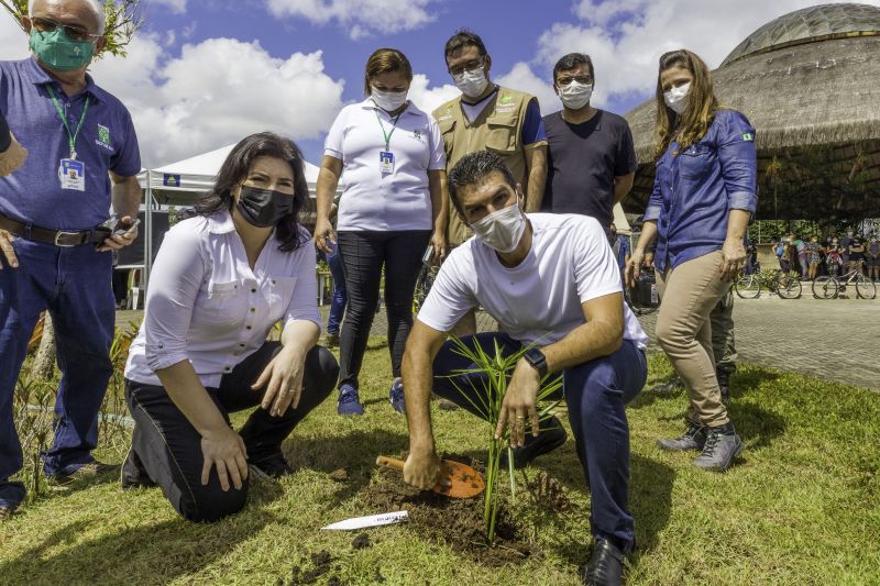 Governo do Pará reitera impacto das ações ambientais no Dia Internacional das Florestas