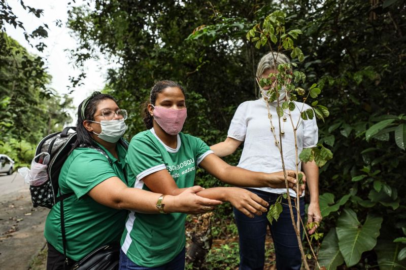  <div class='credito_fotos'>Foto: Marcelo Seabra / Ag. Pará   |   <a href='/midias/2022/originais/13008_9ae52c9d-200c-d7c1-741d-2df4166189bc.jpg' download><i class='fa-solid fa-download'></i> Download</a></div>