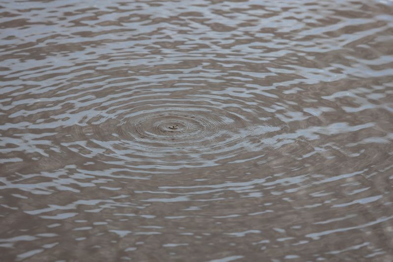  <div class='credito_fotos'>Foto: Marcelo Seabra / Ag. Pará   |   <a href='/midias/2022/originais/13019_ae2e2fb1-6870-0369-44be-0fffc4a0ec79.jpg' download><i class='fa-solid fa-download'></i> Download</a></div>