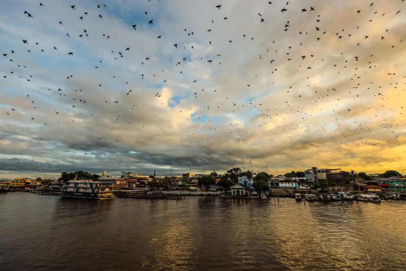 <div class='credito_fotos'>Foto: Marcelo Seabra / Ag. Pará | <a href='/midias/2022/originais/13080_5e1ae2a8-ff8a-b15f-bea6-0719f34f3463.jpg' download><i class='fa-solid fa-download'></i> Download</a></div>