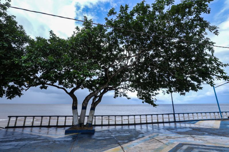 <div class='credito_fotos'>Foto: Alex Ribeiro / Ag. Pará | <a href='/midias/2022/originais/14273_8cb7d10d-60dd-cf53-80bb-bf474ffb7cd9.jpg' download><i class='fa-solid fa-download'></i> Download</a></div>