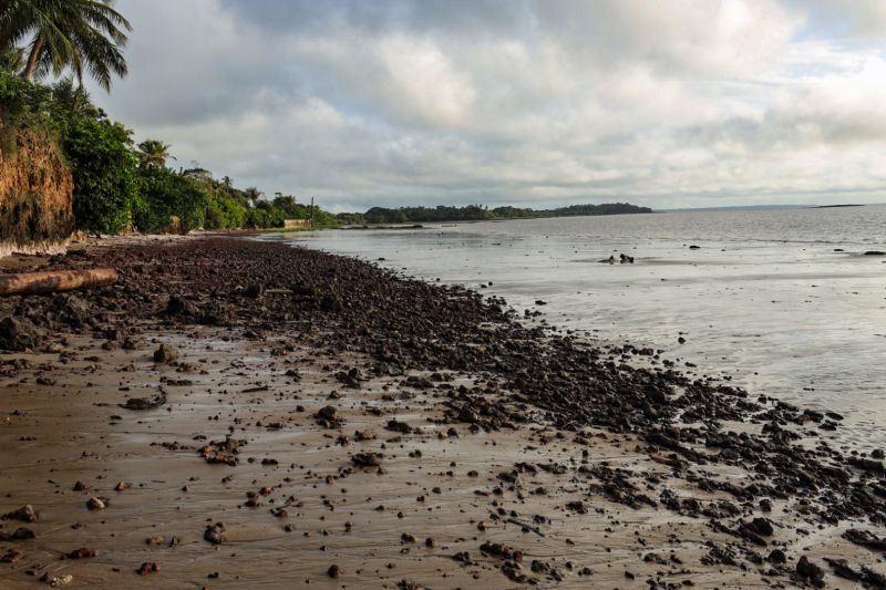 <div class='credito_fotos'>Foto: Alex Ribeiro / Ag. Pará | <a href='/midias/2022/originais/14273_e10c1905-2217-ddc3-3b2f-ec6ee318d158.jpg' download><i class='fa-solid fa-download'></i> Download</a></div>
