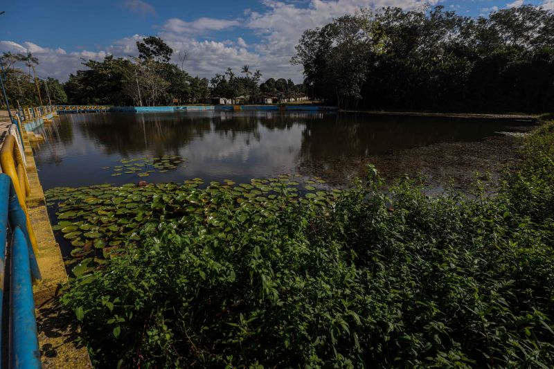  <div class='credito_fotos'>Foto: Marcelo Seabra / Ag. Pará   |   <a href='/midias/2022/originais/14805_ca5c5206-145b-0e1d-d4b0-1259fe1734e9.jpg' download><i class='fa-solid fa-download'></i> Download</a></div>