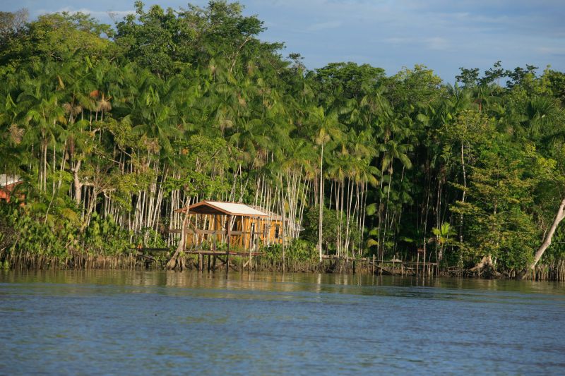 <div class='credito_fotos'>Foto: Marco Nascimento / AG. Pará   |   <a href='/midias/2022/originais/14860_e50ef328-ef99-4ceb-a34e-e9635de288a8.jpg' download><i class='fa-solid fa-download'></i> Download</a></div>