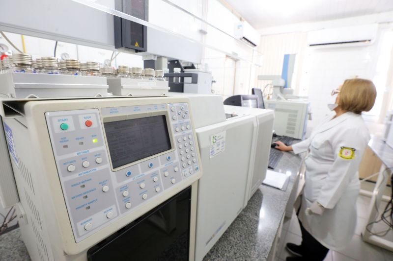 <div class='credito_fotos'>Foto: Bruno Cecim / Ag.Pará | <a href='/midias/2022/originais/14861_5ef6df33-bb5d-7071-9bc9-b5760ba4aaa2.jpg' download><i class='fa-solid fa-download'></i> Download</a></div>