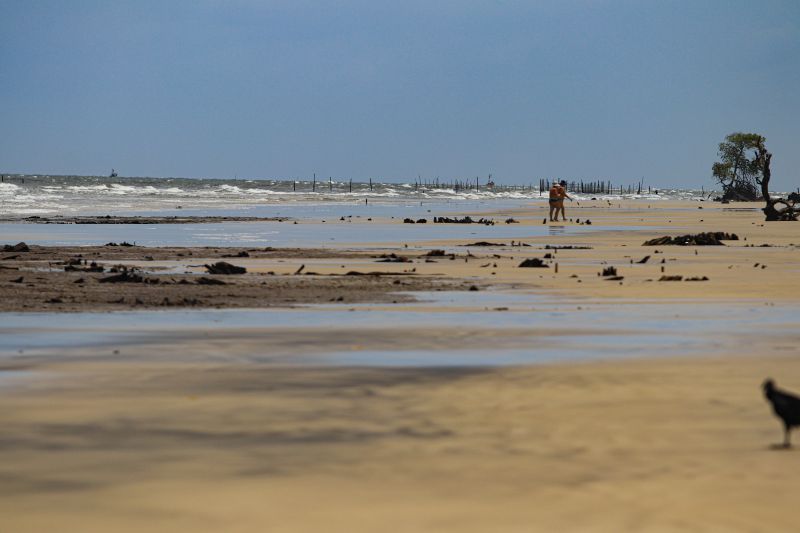 <div class='credito_fotos'>Foto: Pedro Guerreiro / Ag. Pará | <a href='/midias/2022/originais/14877_93f0d66f-372c-969e-eb42-880391af5157.jpg' download><i class='fa-solid fa-download'></i> Download</a></div>