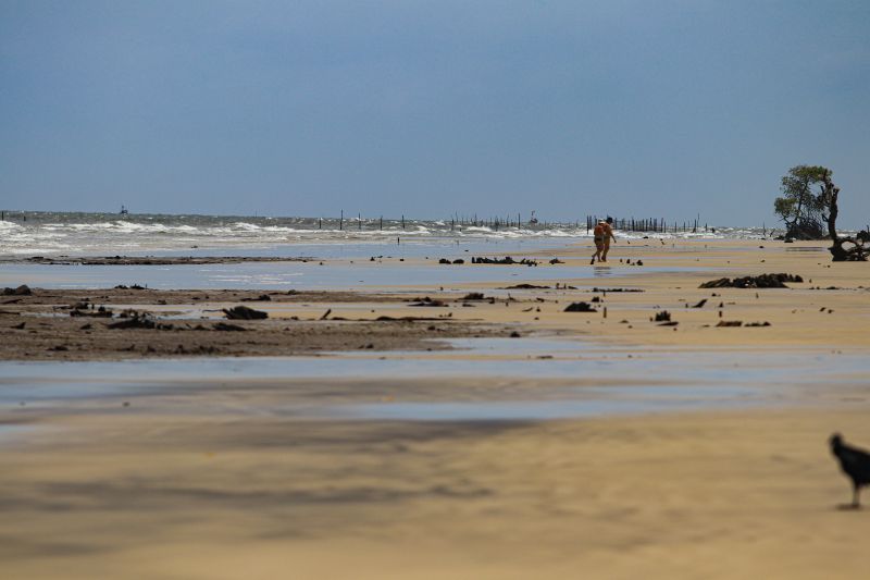 <div class='credito_fotos'>Foto: Pedro Guerreiro / Ag. Pará | <a href='/midias/2022/originais/14877_e12d71fb-56f3-4506-aa18-07258014ca0e.jpg' download><i class='fa-solid fa-download'></i> Download</a></div>