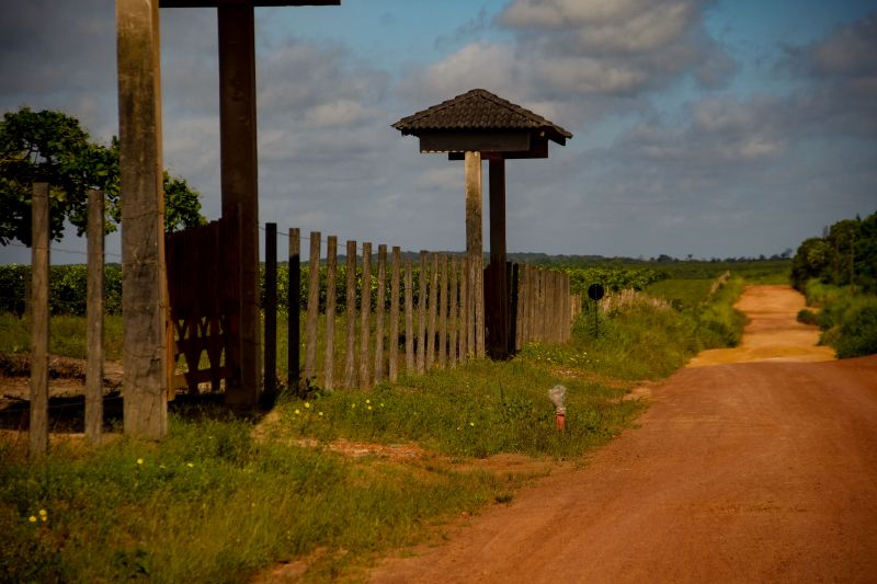 <div class='credito_fotos'>Foto: Pedro Guerreiro / Ag. Pará | <a href='/midias/2022/originais/14885_6fee8772-7558-593f-bec0-0c59d04a0559.jpg' download><i class='fa-solid fa-download'></i> Download</a></div>