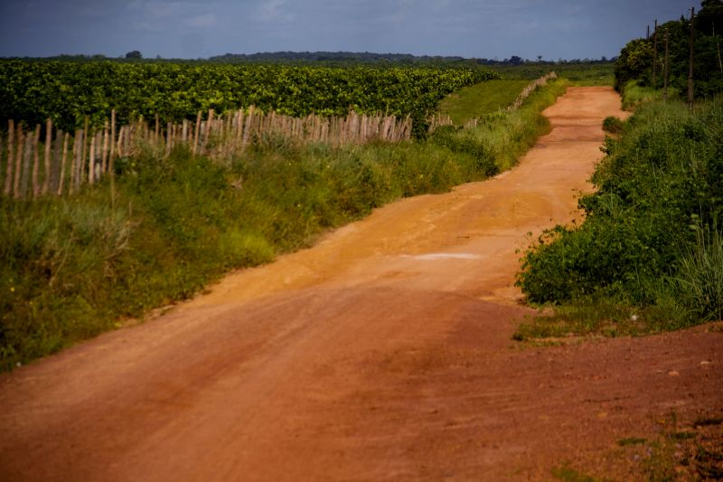 <div class='credito_fotos'>Foto: Pedro Guerreiro / Ag. Pará | <a href='/midias/2022/originais/14885_e5130029-c455-b8d1-099a-a00f3f955f67.jpg' download><i class='fa-solid fa-download'></i> Download</a></div>
