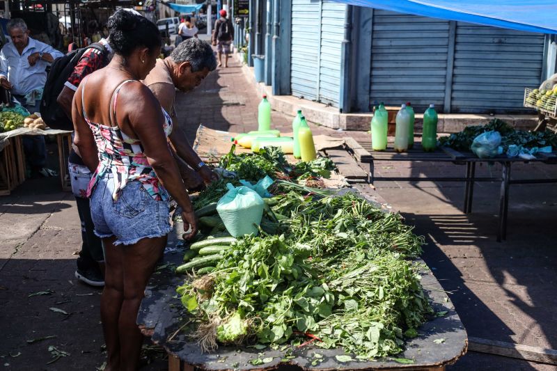 <div class='credito_fotos'>Foto: Marcelo Seabra / Ag. Pará | <a href='/midias/2022/originais/14898_fa0c3ade-cc6a-fcaa-6785-26f65d62911b.jpg' download><i class='fa-solid fa-download'></i> Download</a></div>