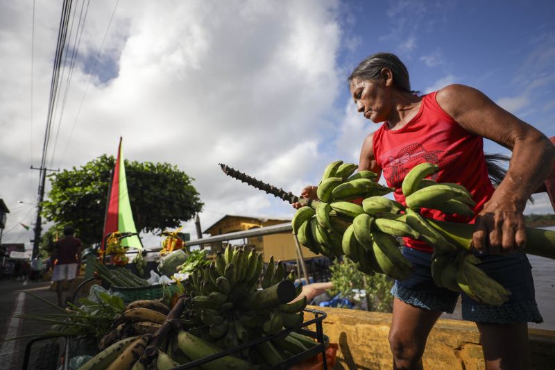 Afuá é um município brasileiro do estado do Pará, pertencente à Mesorregião do Marajó, localizado no norte brasileiro, no delta do rio Amazonas. É conhecida como a "Veneza da Ilha de Marajó", por ter diversos canais e palafitas no fim do século XIX, sendo formada em grande parte por uma população rural. <div class='credito_fotos'>Foto: Pedro Guerreiro / Ag. Pará | <a href='/midias/2022/originais/14948_1642d808-f55c-c665-30fe-318a313cd000.jpg' download><i class='fa-solid fa-download'></i> Download</a></div>