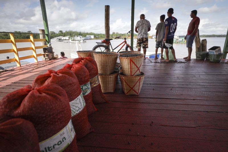 Afuá é um município brasileiro do estado do Pará, pertencente à Mesorregião do Marajó, localizado no norte brasileiro, no delta do rio Amazonas. É conhecida como a "Veneza da Ilha de Marajó", por ter diversos canais e palafitas no fim do século XIX, sendo formada em grande parte por uma população rural. <div class='credito_fotos'>Foto: Pedro Guerreiro / Ag. Pará | <a href='/midias/2022/originais/14948_5d9475fc-67f3-268b-3223-6d5b044485b8.jpg' download><i class='fa-solid fa-download'></i> Download</a></div>
