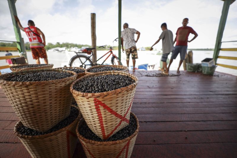Afuá é um município brasileiro do estado do Pará, pertencente à Mesorregião do Marajó, localizado no norte brasileiro, no delta do rio Amazonas. É conhecida como a "Veneza da Ilha de Marajó", por ter diversos canais e palafitas no fim do século XIX, sendo formada em grande parte por uma população rural. <div class='credito_fotos'>Foto: Pedro Guerreiro / Ag. Pará | <a href='/midias/2022/originais/14948_f00d20be-14f9-c30a-f160-bf2dc8dede3f.jpg' download><i class='fa-solid fa-download'></i> Download</a></div>