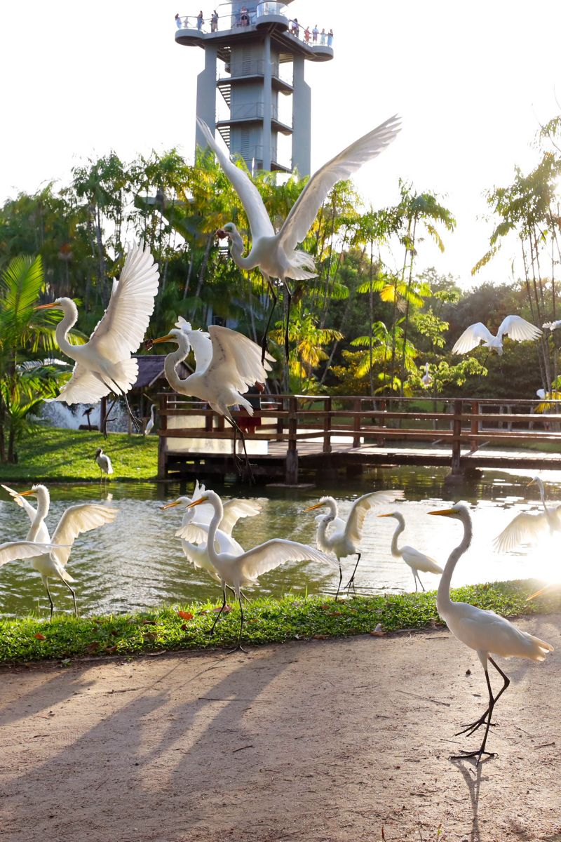  <div class='credito_fotos'>Foto: Bruno Cecim / Ag.Pará   |   <a href='/midias/2022/originais/14967_8576b40a-89fe-dba8-8e5f-872b8146d9d3.jpg' download><i class='fa-solid fa-download'></i> Download</a></div>