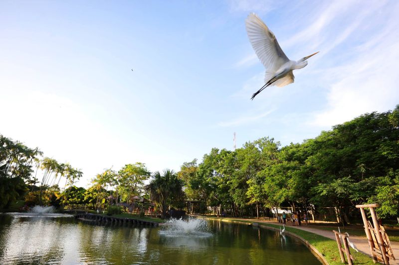  <div class='credito_fotos'>Foto: Bruno Cecim / Ag.Pará   |   <a href='/midias/2022/originais/14967_a3380e5c-357d-0e6d-9c5f-1d59a28a7cc3.jpg' download><i class='fa-solid fa-download'></i> Download</a></div>