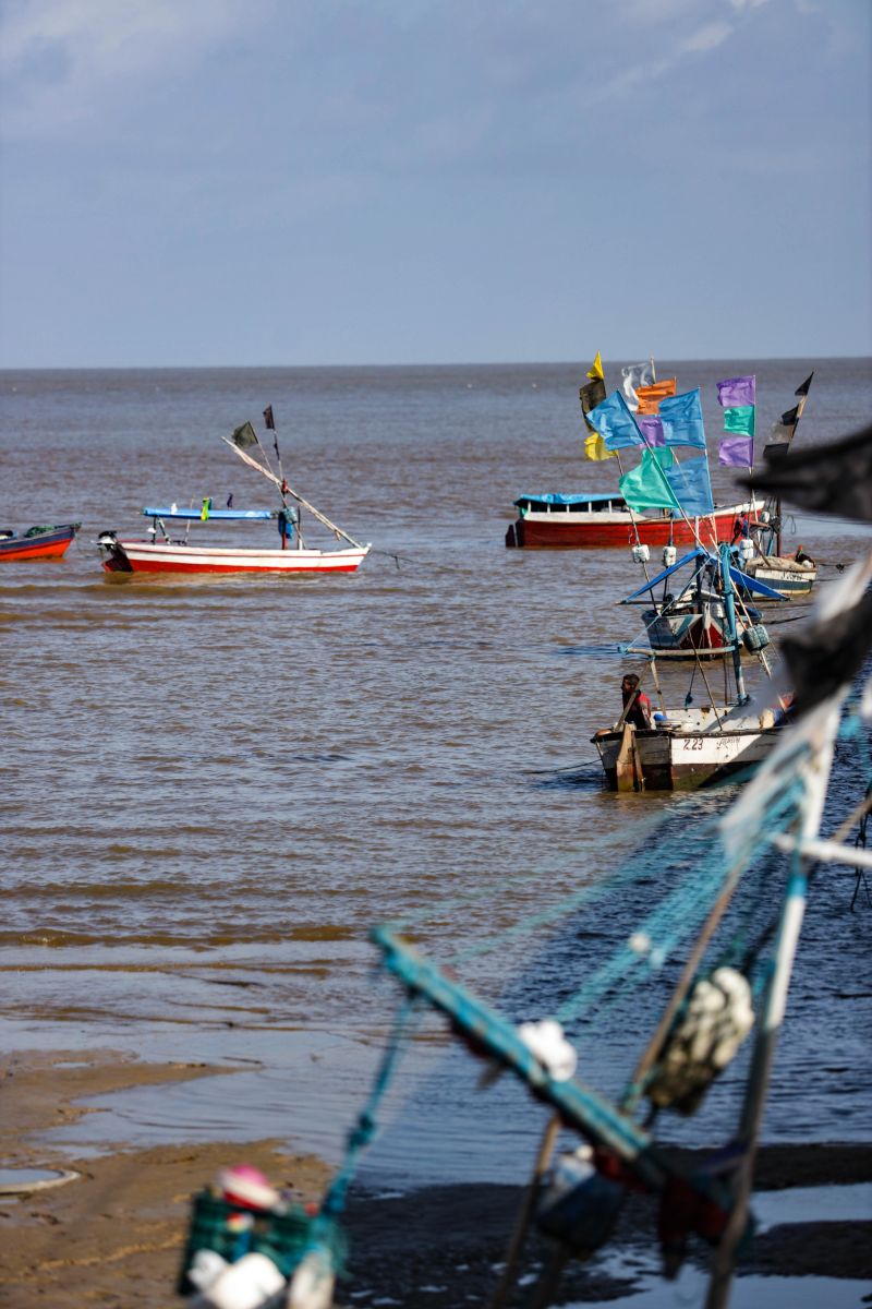  <div class='credito_fotos'>Foto: Pedro Guerreiro / Ag. Pará   |   <a href='/midias/2022/originais/15053_67d43eee-b53f-c2af-6c5f-a9decc6529aa.jpg' download><i class='fa-solid fa-download'></i> Download</a></div>
