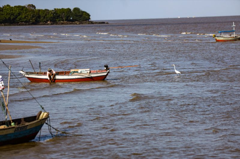  <div class='credito_fotos'>Foto: Pedro Guerreiro / Ag. Pará   |   <a href='/midias/2022/originais/15053_9832cb01-d075-1a17-0cd6-af33d97076c6.jpg' download><i class='fa-solid fa-download'></i> Download</a></div>