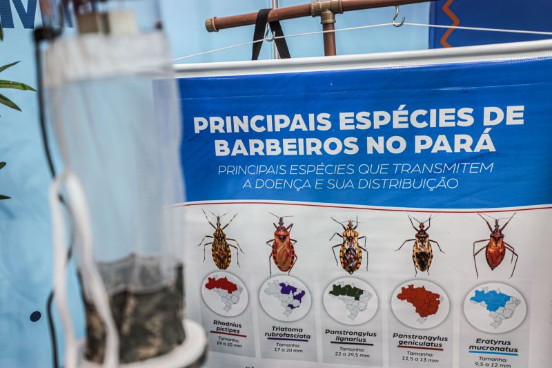 Vozes da Infância - LEIA A PALAVRA, ESCUTE A HISTÓRIA - Arena Multivozes Fotos Pedro Guerreiro/AGPARA <div class='credito_fotos'>Foto: Pedro Guerreiro / Ag. Pará | <a href='/midias/2022/originais/15076_4080bce6-6016-87ce-92cf-83af7020fe34.jpg' download><i class='fa-solid fa-download'></i> Download</a></div>
