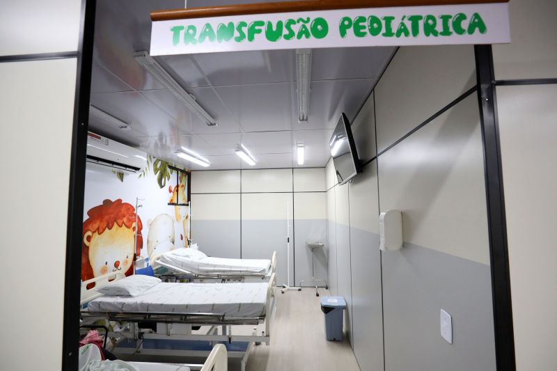 <div class='credito_fotos'>Foto: Bruno Cecim / Ag.Pará | <a href='/midias/2022/originais/15127_969a7590-42e5-ba87-a7cb-12a88057689d.jpg' download><i class='fa-solid fa-download'></i> Download</a></div>