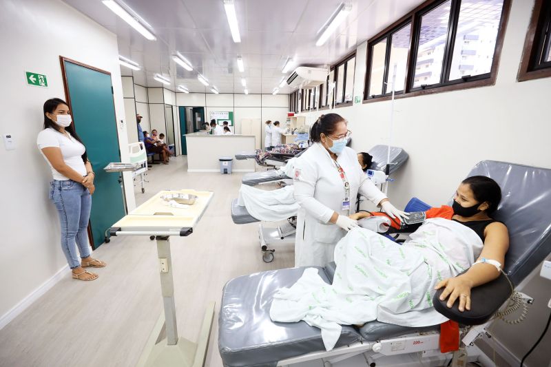 <div class='credito_fotos'>Foto: Bruno Cecim / Ag.Pará | <a href='/midias/2022/originais/15127_dbfaaec5-e4e7-7c8f-d42f-2c5dc7d49505.jpg' download><i class='fa-solid fa-download'></i> Download</a></div>