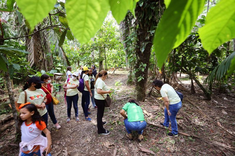 Crianças em Tratamento contra o Câncer visitam Fabrica de Chocolate no Combu - Fotos Bruno Cecim - Ag.Pará <div class='credito_fotos'>Foto: Bruno Cecim / Ag.Pará | <a href='/midias/2022/originais/15134_1fd8629f-71d0-24ea-4b8f-6ddc949fcee1.jpg' download><i class='fa-solid fa-download'></i> Download</a></div>