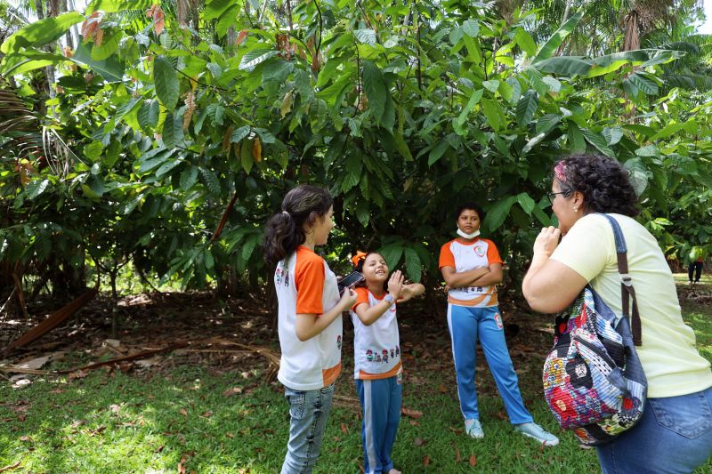 Crianças em Tratamento contra o Câncer visitam Fabrica de Chocolate no Combu - Fotos Bruno Cecim - Ag.Pará <div class='credito_fotos'>Foto: Bruno Cecim / Ag.Pará | <a href='/midias/2022/originais/15134_2b16a279-80a7-3417-3e19-17dcb552dc00.jpg' download><i class='fa-solid fa-download'></i> Download</a></div>